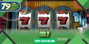 Big 7