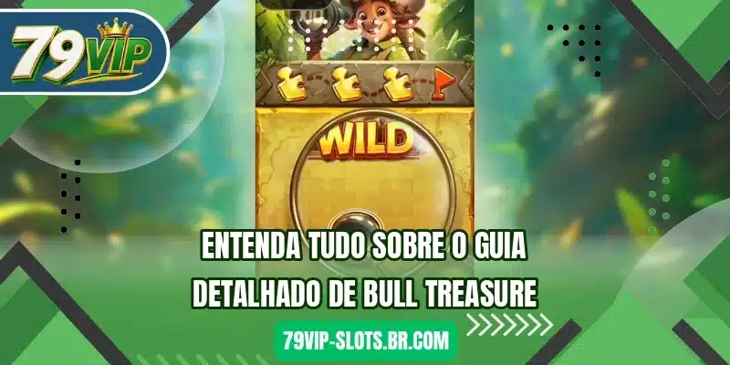 Entenda tudo sobre o guia detalhado de Bull Treasure