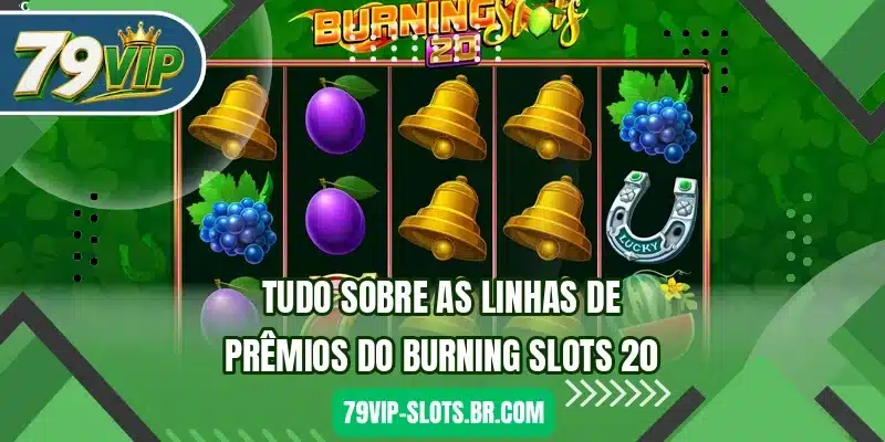 Tudo sobre as linhas de prêmios do Burning Slots 20